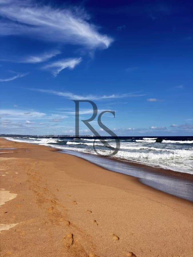 Ocean Park — 2